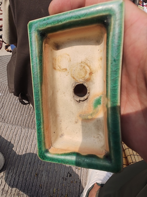 古玩陶瓷石灣窯綠釉菖蒲盆真品鑒賞圖