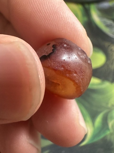 古玩玉器老瑪瑙珠真品鑒賞圖