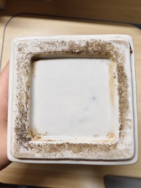古玩陶瓷青花龍紋象耳瓶真品鑒賞圖