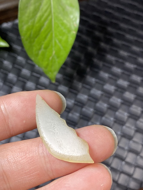古玩玉器清代和田玉雕“刀”花飾拍賣,當前價格350元