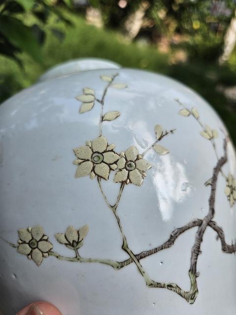 古玩陶瓷粉彩梅花紋罐真品鑒賞圖