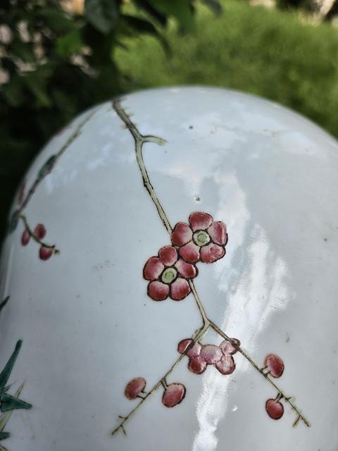 古玩陶瓷粉彩梅花紋罐真品鑒賞圖