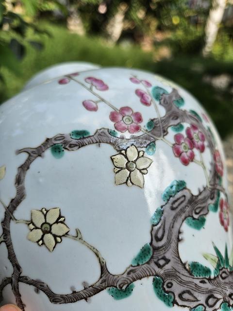古玩陶瓷粉彩梅花紋罐真品鑒賞圖
