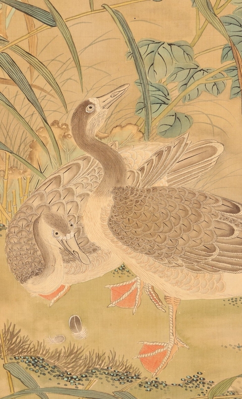 古玩字畫(huà)王廷章花鳥(niǎo)真品鑒賞圖