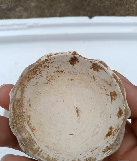 古玩陶瓷五代磁州窯白釉綠彩菱花口粉盒真品鑒賞圖