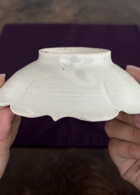 古玩陶瓷晚唐定窯菱花口盤真品鑒賞圖