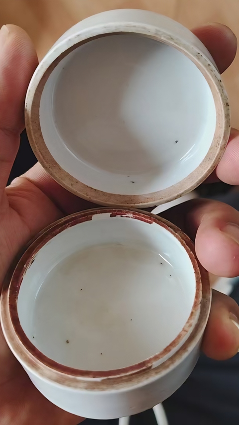 古玩陶瓷博古圖青花蓋盒真品鑒賞圖