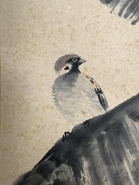 古玩字畫水墨芭蕉真品鑒賞圖