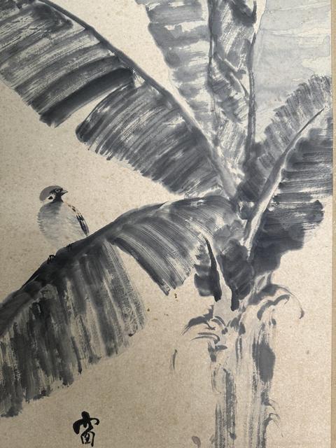 古玩字畫水墨芭蕉真品鑒賞圖