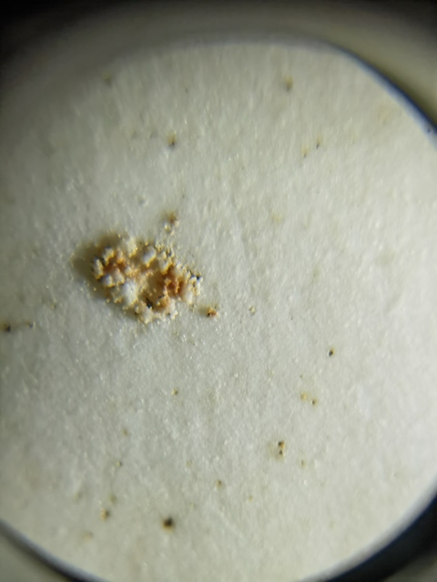 古玩陶瓷青花茶盤真品鑒賞圖