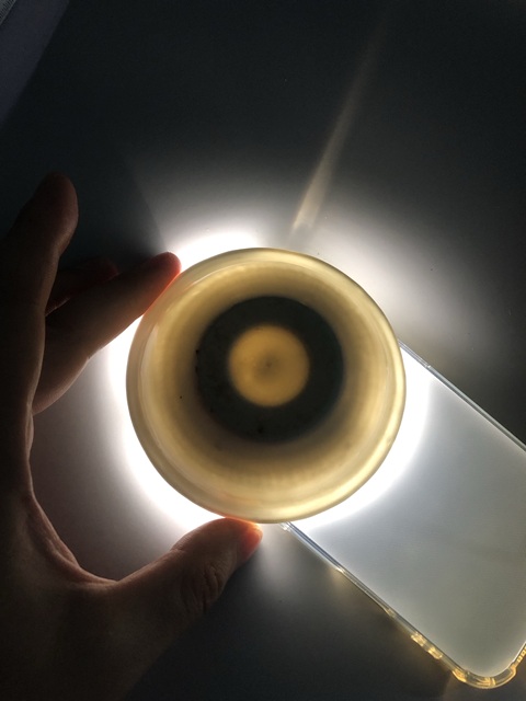 古玩陶瓷(明末清初)白釉玉壁底盞拍賣,當前價格0元