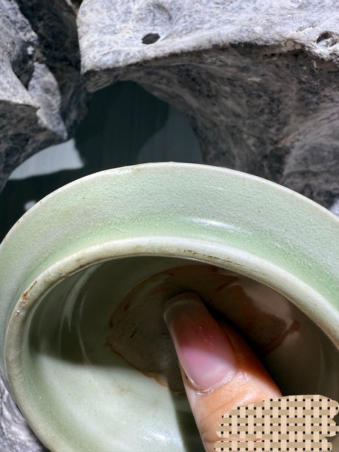 古玩陶瓷龍泉青瓷蓋真品鑒賞圖