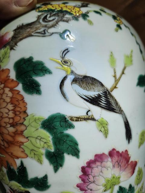 古玩陶瓷粉彩花鳥紋冬瓜罐真品鑒賞圖