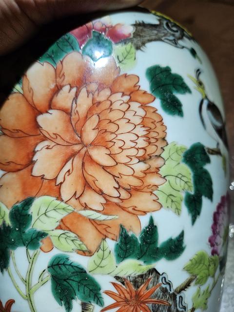 古玩陶瓷粉彩花鳥紋冬瓜罐真品鑒賞圖