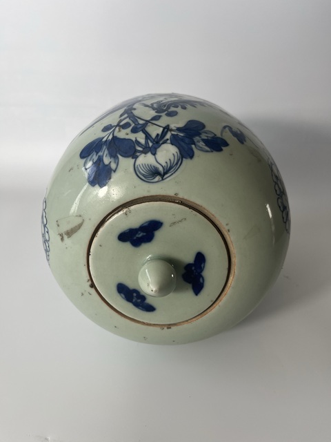 古玩陶瓷清中晚期鳳穿牡丹紋冬瓜罐真品鑒賞圖