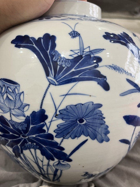 古玩陶瓷清晚期荷塘雅趣紋蓋罐真品鑒賞圖