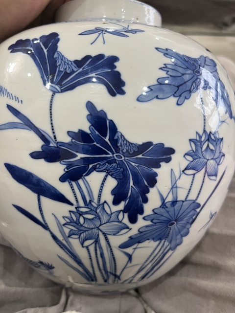 古玩陶瓷清晚期荷塘雅趣紋蓋罐真品鑒賞圖