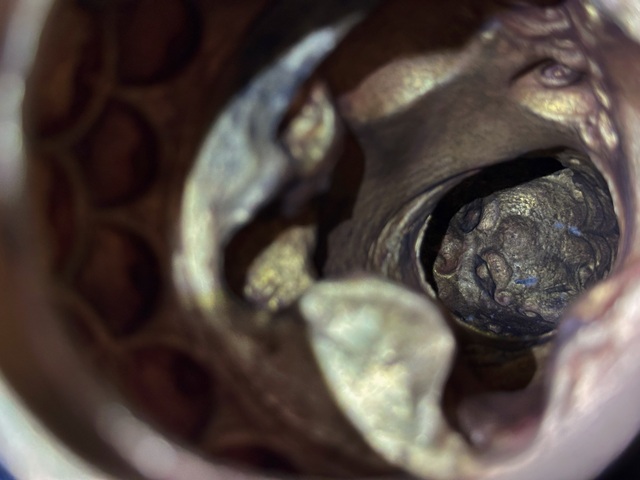 古玩雜項手工暫刻黃金蓮花獅子擺件真品鑒賞圖