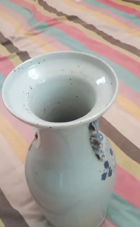 古玩陶瓷豆青釉青花花蝶紋瓶真品鑒賞圖