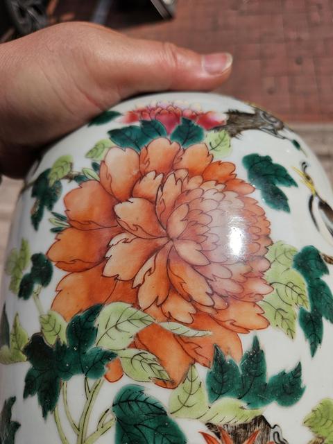 古玩陶瓷粉彩花鳥紋冬瓜罐真品鑒賞圖