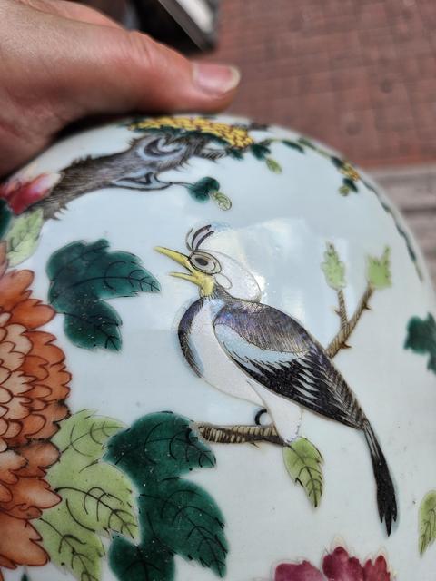 古玩陶瓷粉彩花鳥紋冬瓜罐真品鑒賞圖