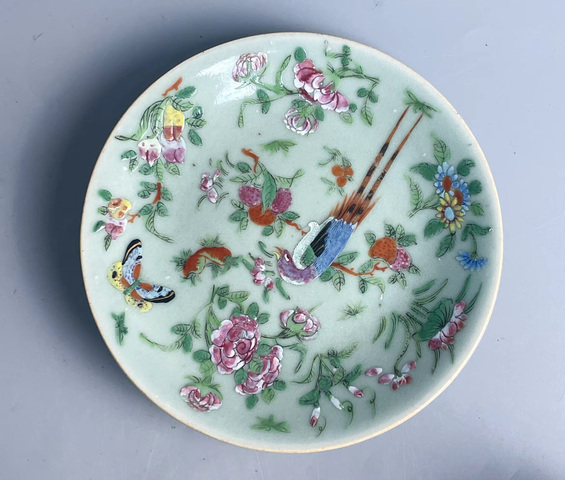 古玩陶瓷清中晚·豆青釉粉彩花鳥紋盤 真品鑒賞圖