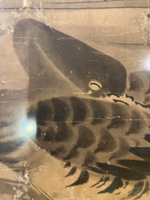 古玩字畫佚名真品鑒賞圖