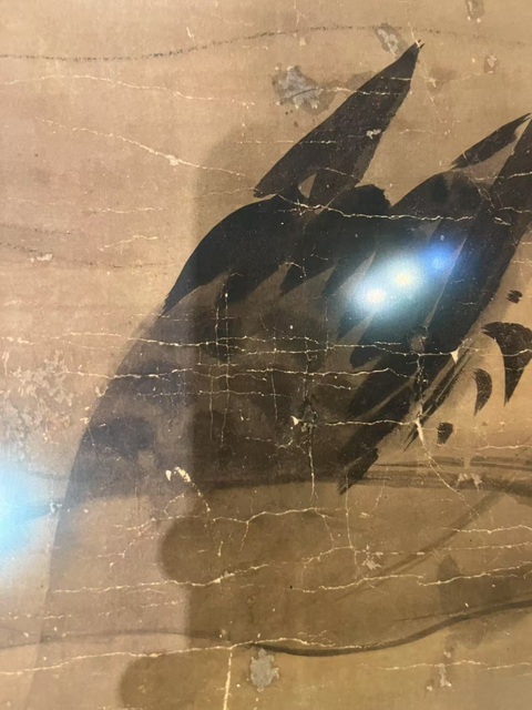 古玩字畫佚名真品鑒賞圖
