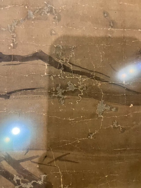 古玩字畫佚名真品鑒賞圖