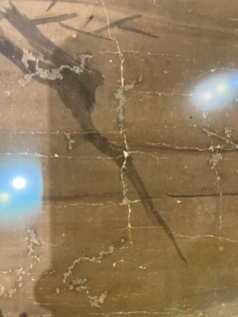 古玩字畫佚名真品鑒賞圖