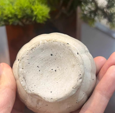 古玩陶瓷青白釉瓜楞瓶真品鑒賞圖