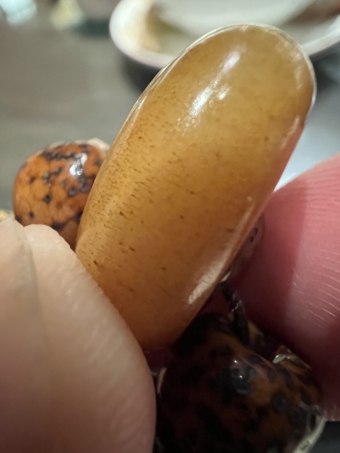 古玩雜項骨環真品鑒賞圖