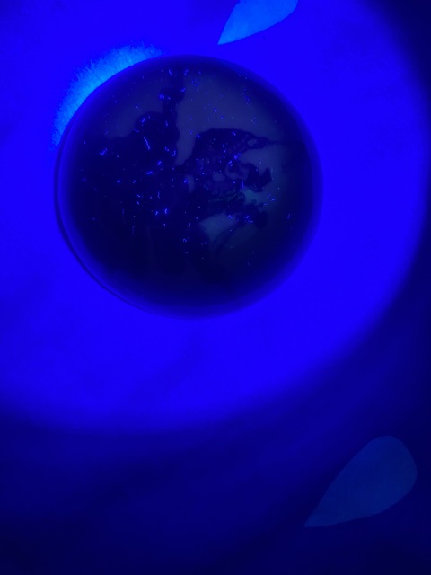 古玩陶瓷晚清青花印泥盒真品鑒賞圖