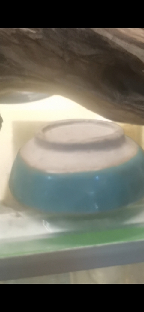 古玩陶瓷鈞窯缽真品鑒賞圖