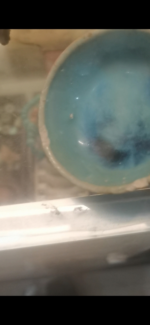 古玩陶瓷鈞窯缽真品鑒賞圖