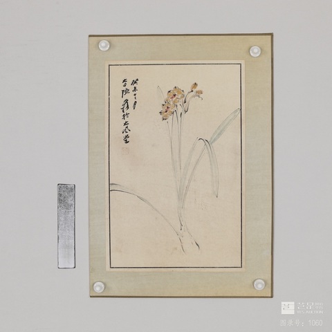 古玩字畫大千款花卉真品鑒賞圖