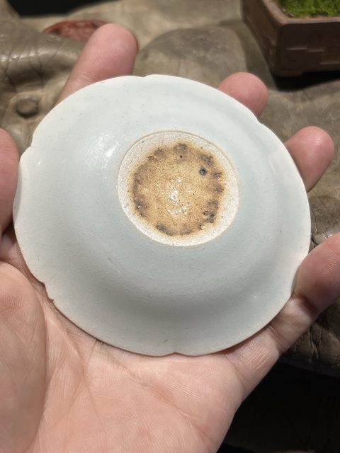 古玩陶瓷青白瓷葵口小盤真品鑒賞圖