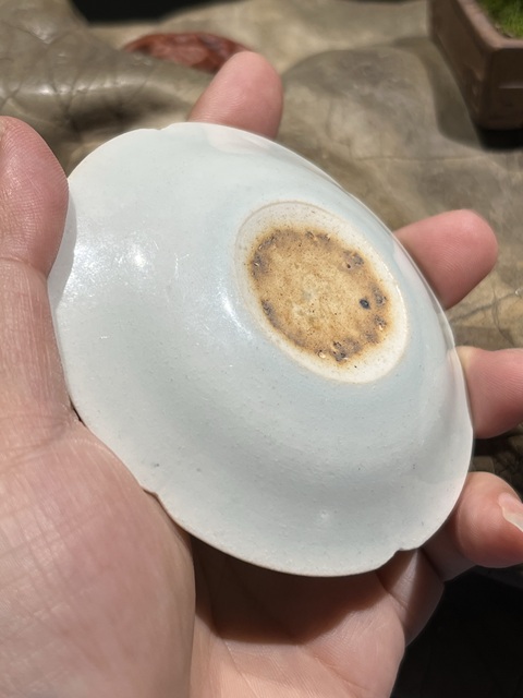 古玩陶瓷青白瓷葵口小盤真品鑒賞圖