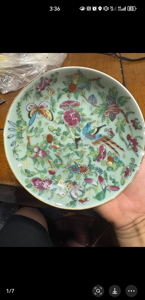 古玩陶瓷豆青釉花鳥蝶紋廣彩盤真品鑒賞圖