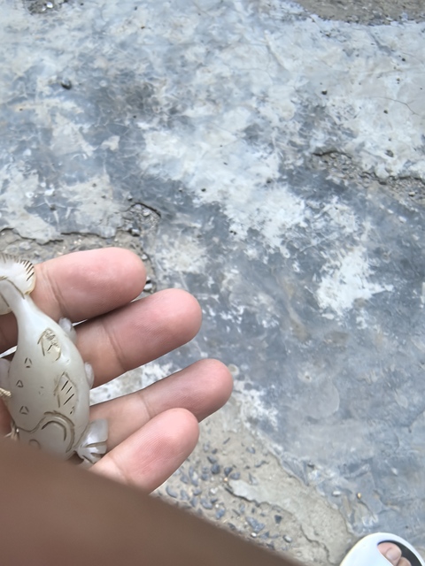 古玩玉器玉魚墜真品鑒賞圖