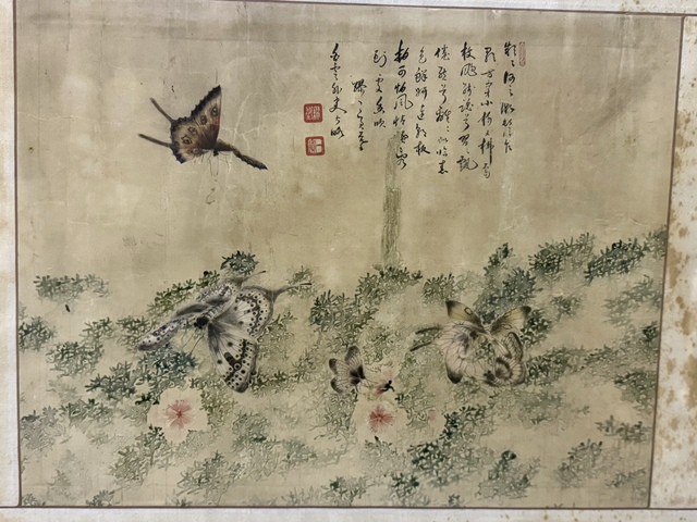 古玩字畫蝶舞真品鑒賞圖