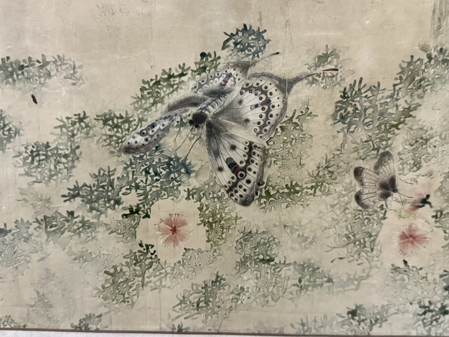 古玩字畫蝶舞真品鑒賞圖