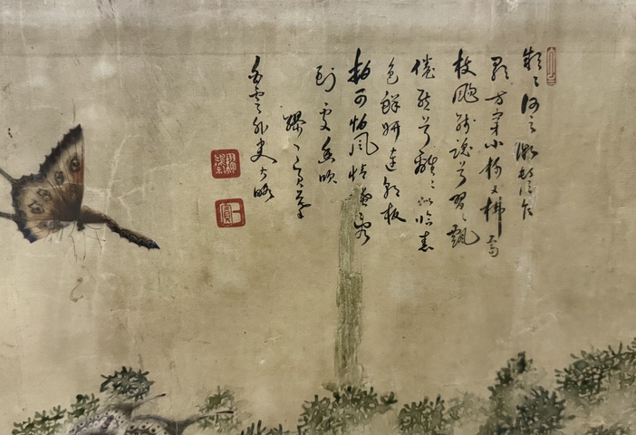古玩字畫蝶舞真品鑒賞圖
