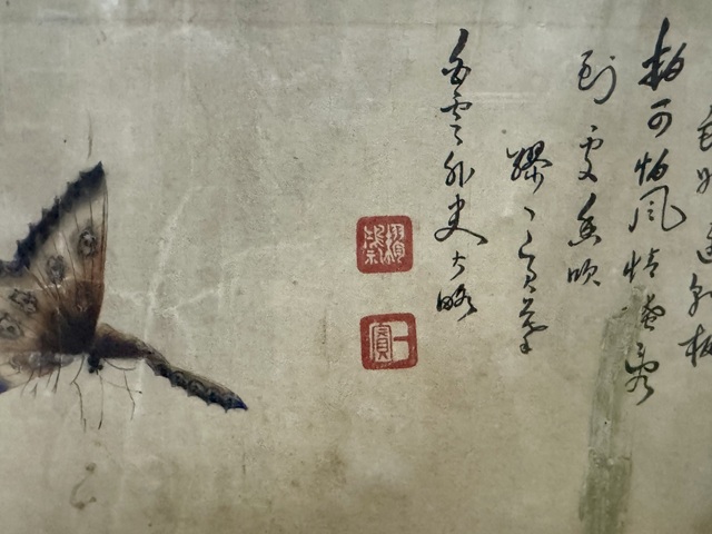 古玩字畫蝶舞真品鑒賞圖