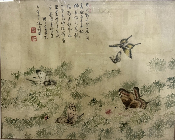 古玩字畫蝶舞真品鑒賞圖