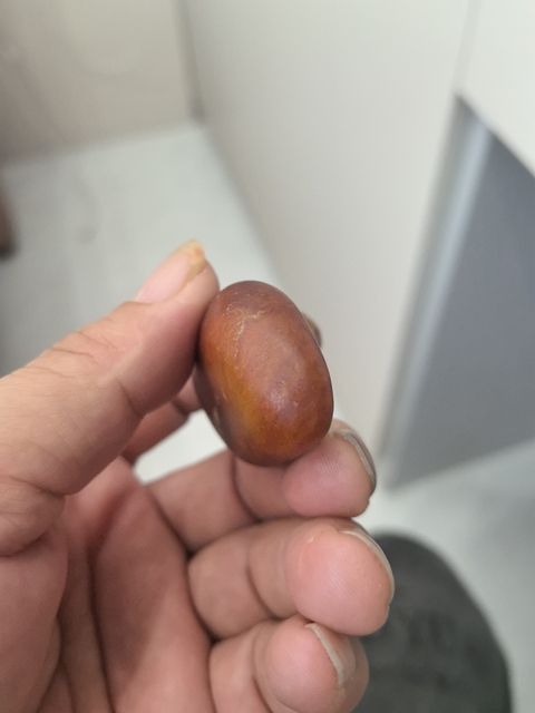 古玩玉器和田玉籽料原石拍賣，當(dāng)前價格1688元