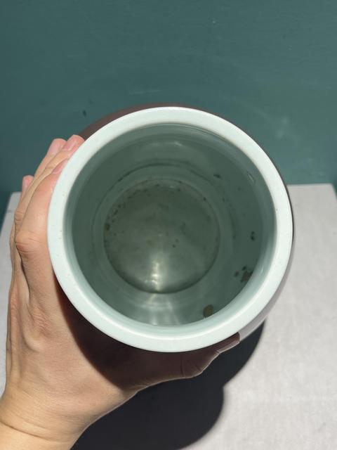 古玩陶瓷霽紅釉琵琶尊真品鑒賞圖