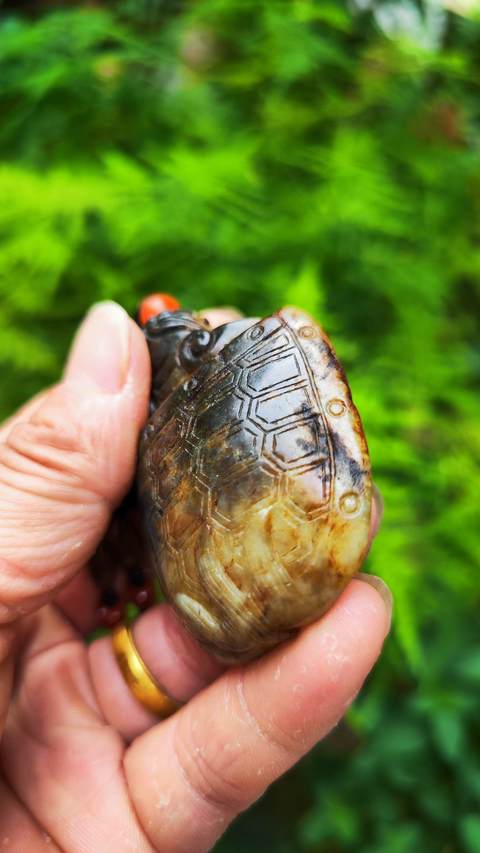 古玩玉器和田玉雕龍龜型件真品鑒賞圖