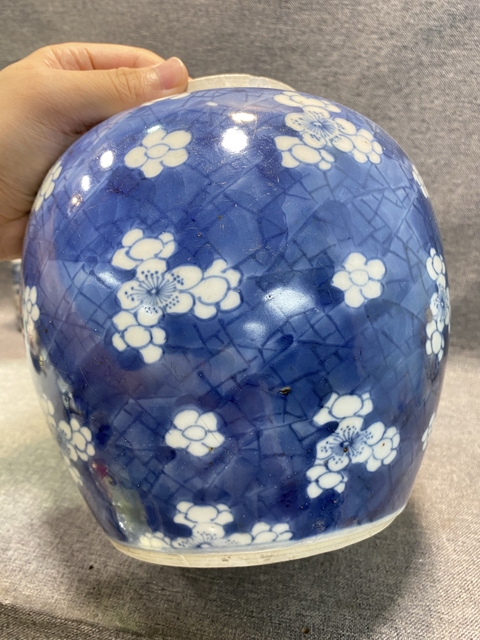 古玩陶瓷青花冰梅紋罐真品鑒賞圖