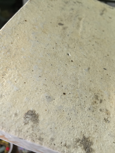 古玩陶瓷人物紋粉彩盤真品鑒賞圖